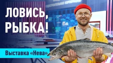 Что не так с НОВЫМ рыбопромысловым флотом России?